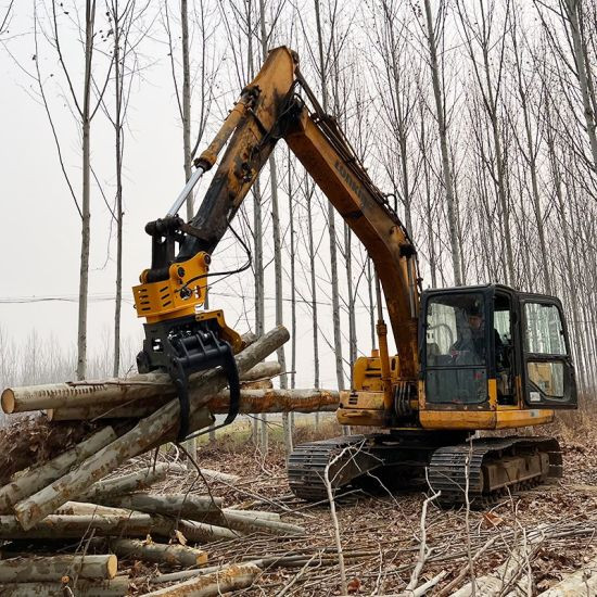 Excavator Logging